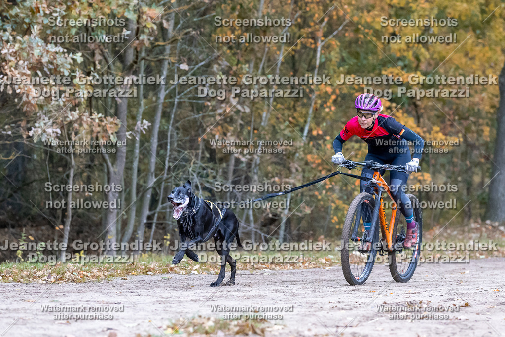 Dog Paparazzi - SD CaniX Championship 2025-80 | Dog Paparazzi Jeanette Grottendiek Fotografie & Videografie - Realisiert mit Pictrs.com