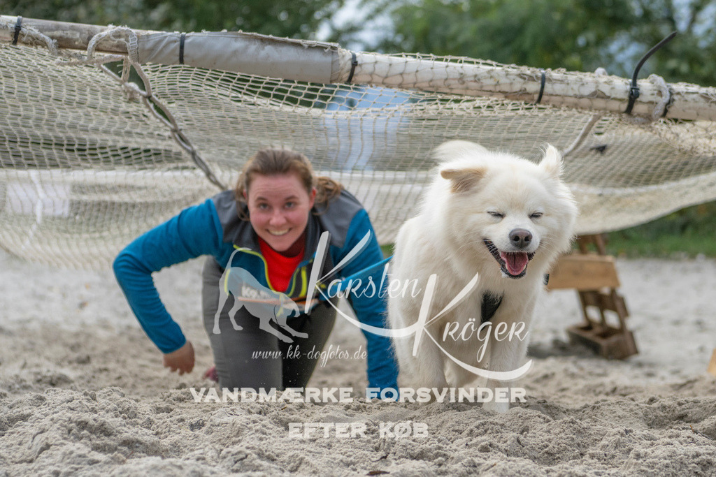 1137_ZZ98436 | kk-dogfotos
