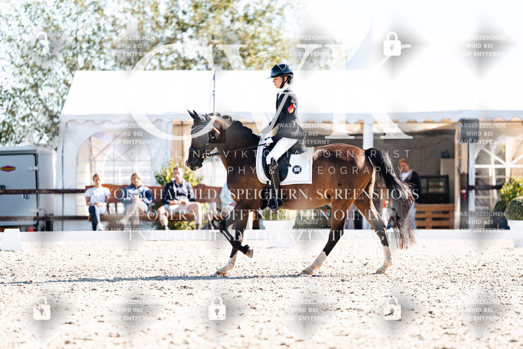 CK908568 | Turnierfotografie Pferdefotografie Trier Rheinland-Pfalz Pferdesport Reitsport Tierfotografie Sportfotografie Pferdevideo Pferdevideografie Equestrianvideography equestrianphotography  - Realisiert mit Pictrs.com