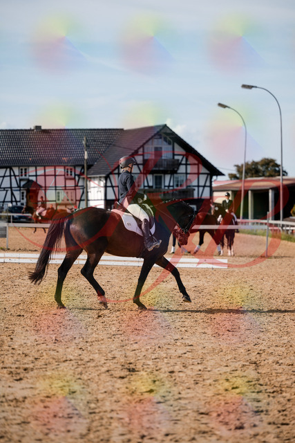 2026_10_03_Siefer-Hof_133511_Z63_94453669 | Professionelle Reitsport-, Turnier- und Eventfotografie von Robert Broda. Galerien mit ausgewählten und bearbeiteten Bildern direkt online ansehen und bestellen.