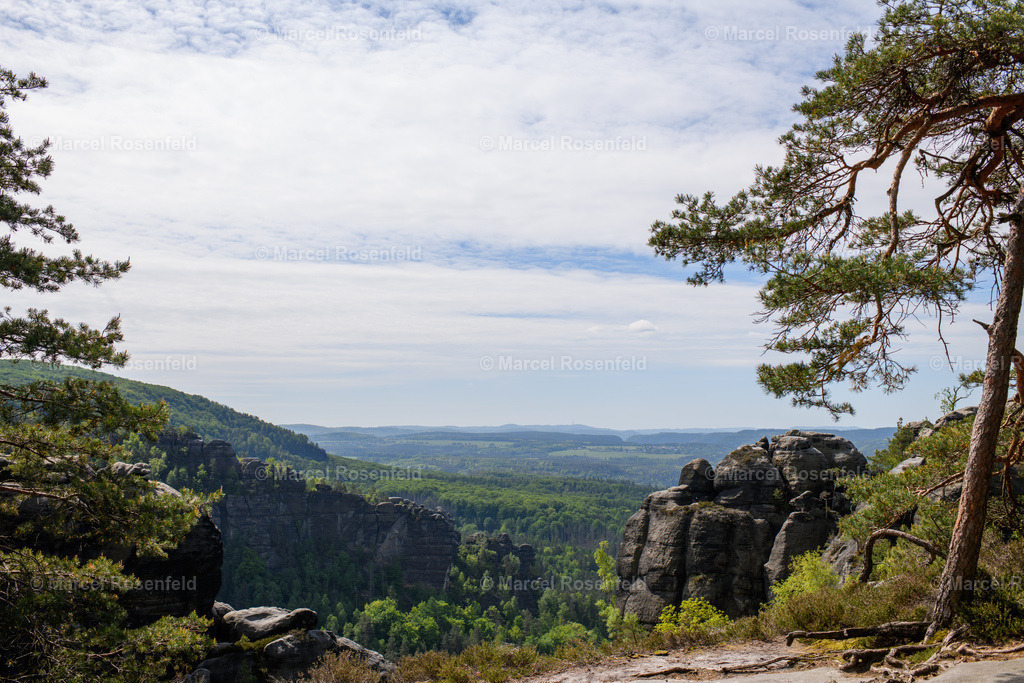 _DSC4958 (3) | foto-rosenfeld