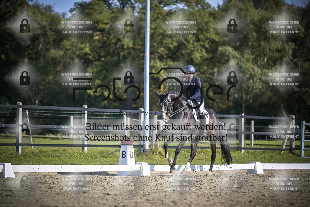 DOS_2475 | Entdecke hochwertige Reitturnierfotos von Foto Oger. Professionell, emotional und authentisch – jetzt Lieblingsmomente im Shop bestellen.Deutschlandweite Turnierfotografie. - Realisiert mit Pictrs.com