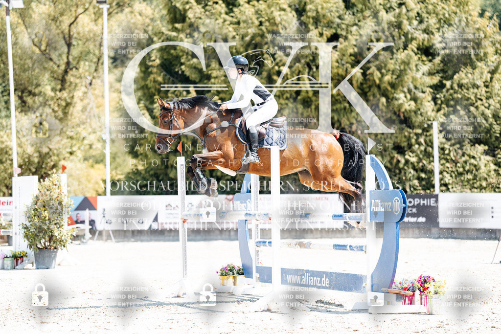 CK900260 | Turnierfotografie Pferdefotografie Trier Rheinland-Pfalz Pferdesport Reitsport Tierfotografie Sportfotografie Pferdevideo Pferdevideografie Equestrianvideography equestrianphotography  - Realisiert mit Pictrs.com
