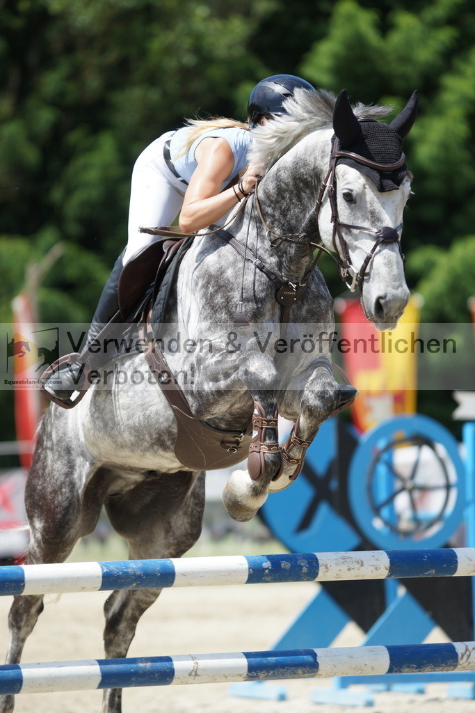 DSC00648 | equestrian-live-com