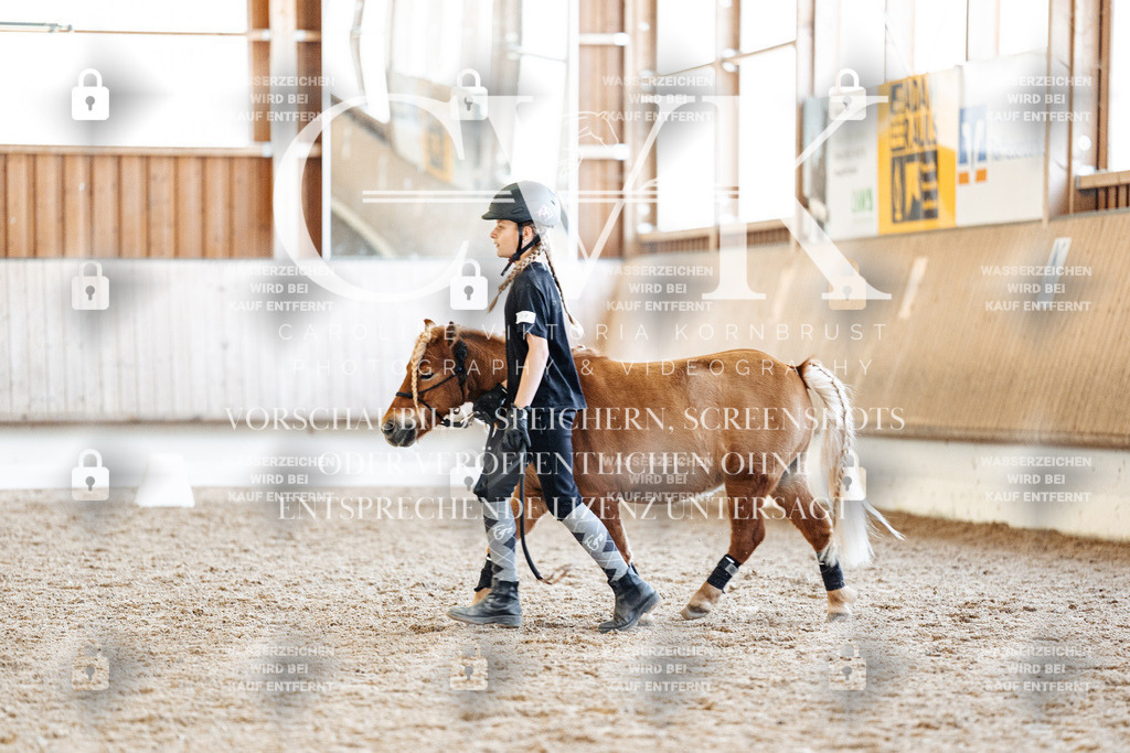 CK906998 | Turnierfotografie Pferdefotografie Trier Rheinland-Pfalz Pferdesport Reitsport Tierfotografie Sportfotografie Pferdevideo Pferdevideografie Equestrianvideography equestrianphotography  - Realisiert mit Pictrs.com