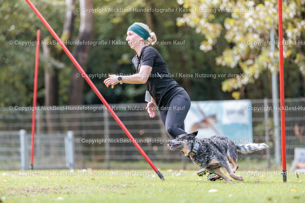 THS-HSV-Blumenthal-2026-Nickbest-Hundefotografie-2822 | Dein Hund! Dein Moment! Deine Erinnerungen! Hundefotografie in Bremen Blumenthal. Ich fange die besonderen Momente deines Vierbeiners ein – ob Indoor mit Blitzanlage oder in der freien Natur. Sicher dir dein Moment und dein Termin für eure Erinnerungen.