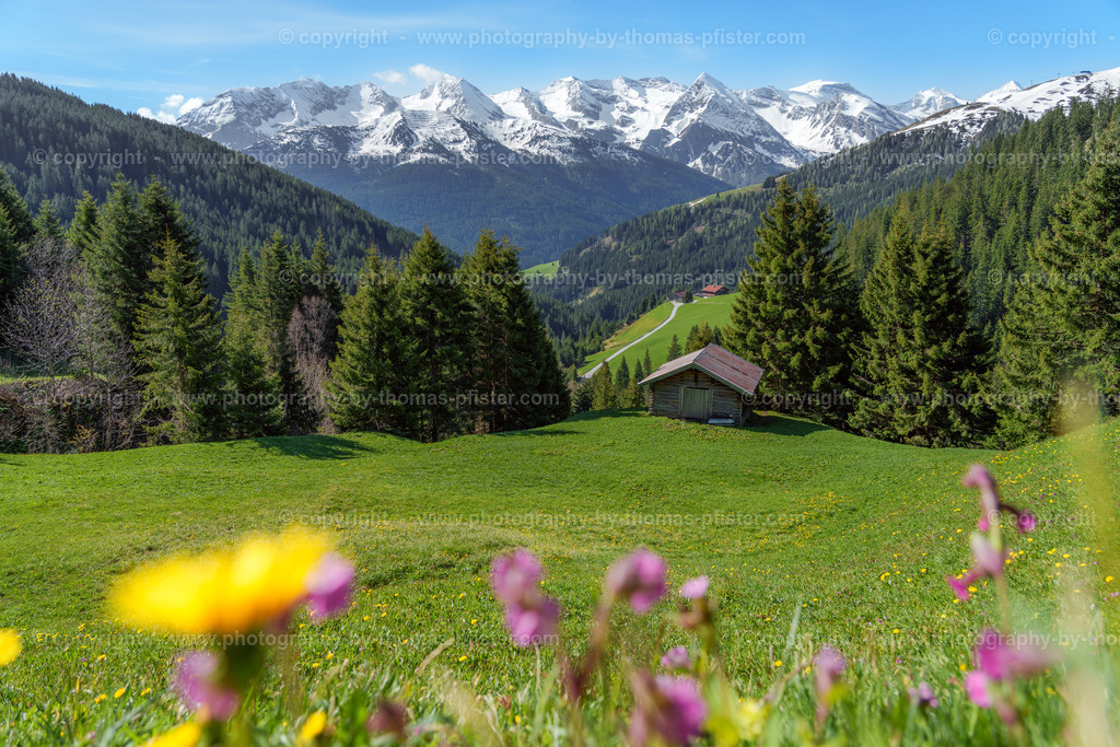 Tux Frühling copyright  Thomas Pfister-12 | PHOTOGRAPHY BY THOMAS PFISTER