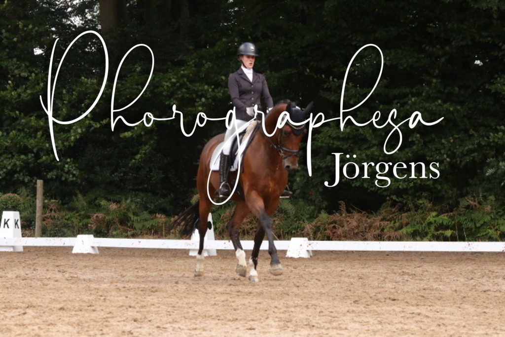 IMG_0063 | photographesa-joergens - Realisiert mit Pictrs.com