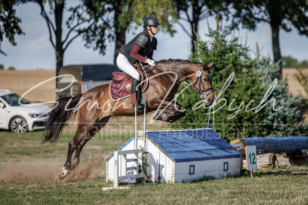 20260905-_3LI0514 | Tierfotografie Pferde, Hunde, Katzen, Haustiere.
Turnierfotografie Reitturniere, Reiten, Springreiten, Dressur in Hanau, dem Main-Kinzig-Kreis und dem Rhein-Main- Gebiet um Frankfurt