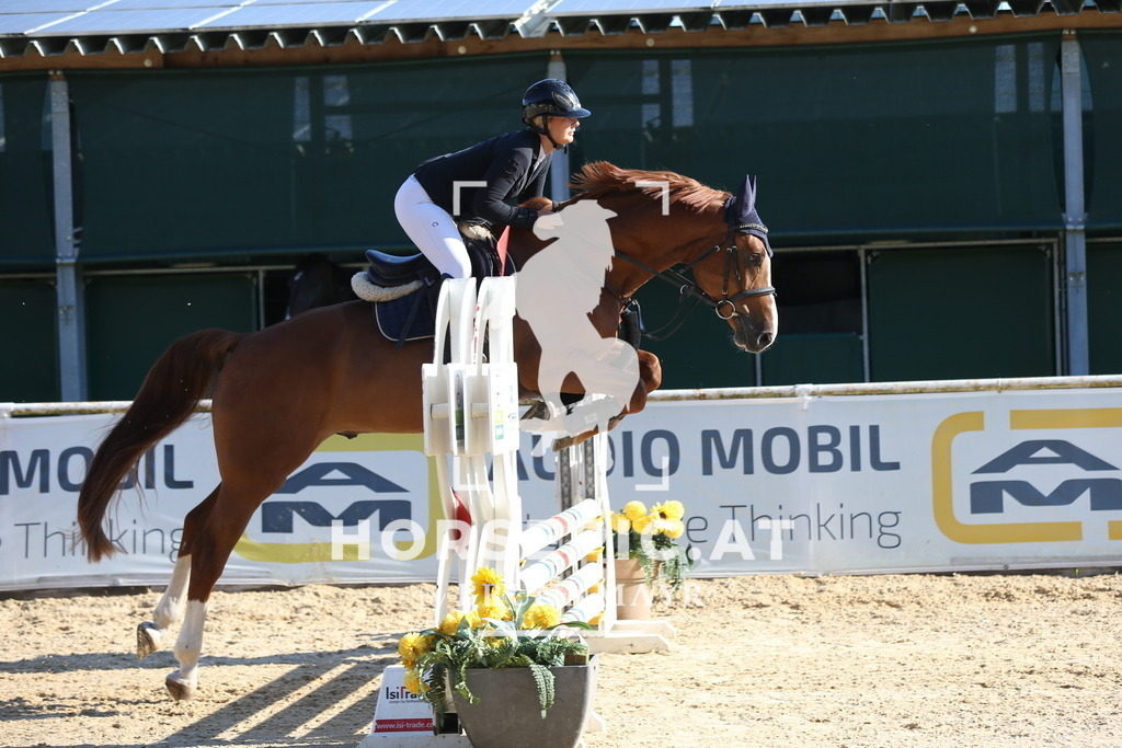 DL2Q7746 | Willkommen bei Brunnmayr - Design & Fotografie – Ihrem Spezialisten für Reitturniere und Pferdeveranstaltungen in Oberösterreich, Salzburg und Bayern! Seit über 17 Jahren sind wir leidenschaftlich dabei.
