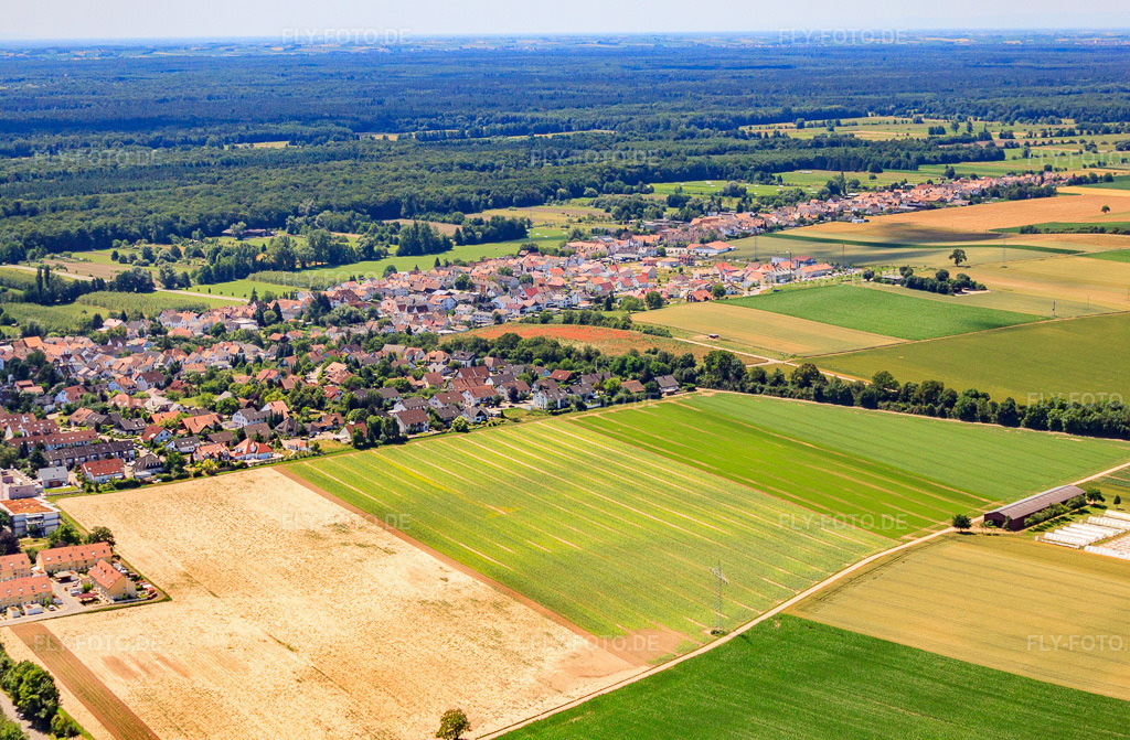 Luftbild: Gutenbergsr in Kandel im Bundesland Rheinland-Pfalz in Deutschland. Foto: IMG_30222.jpg vom 05.07.2010 durch Werner Riehm/FLY-FOTO.de