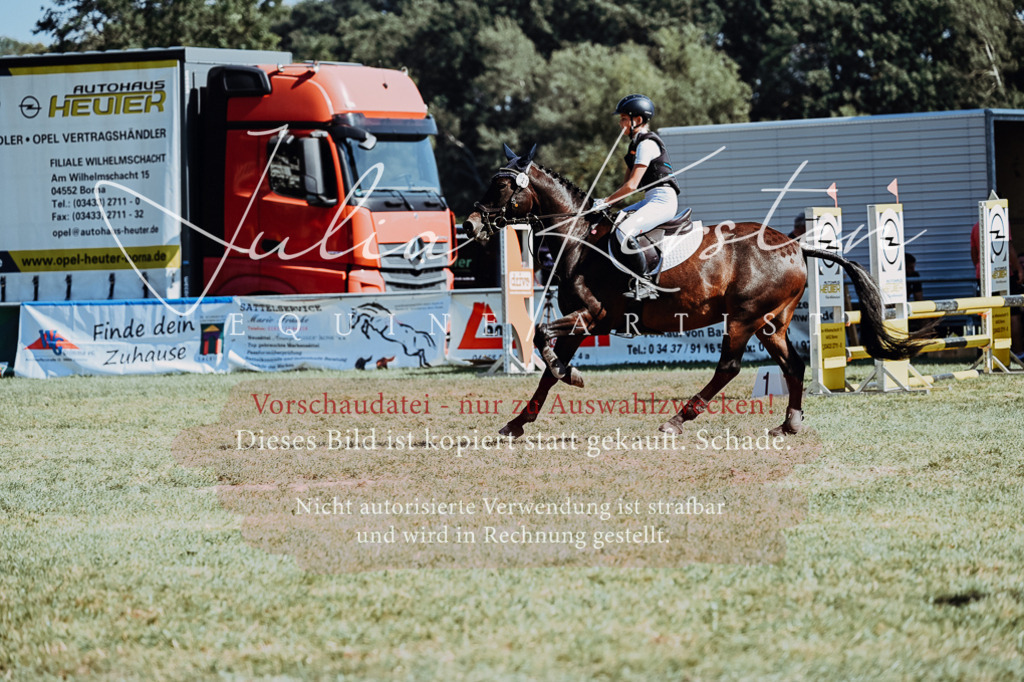 DSC_6773 | Pferde- und Turnierfotografie in Westsachsen. Pferdeportraits, Auftragszeichnungen und intuitive Kunst.