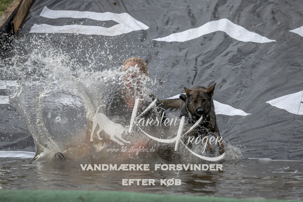 1153_ZZ93914 | kk-dogfotos