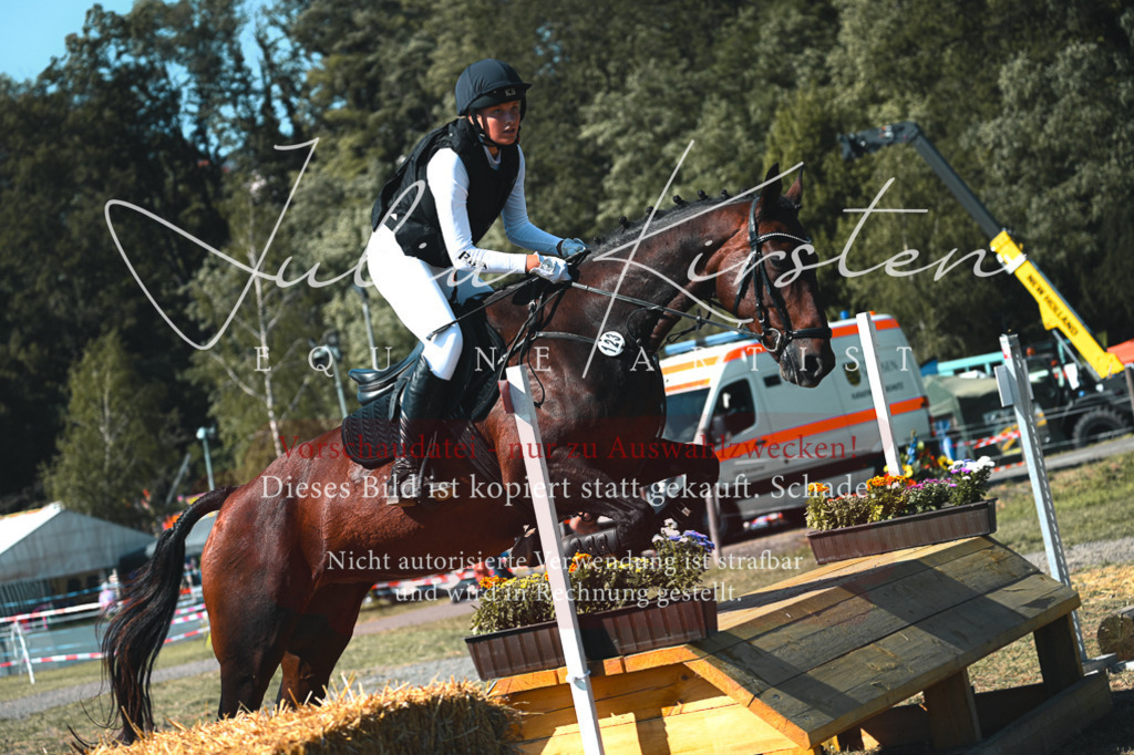 DSC_7886 | Pferde- und Turnierfotografie in Westsachsen. Pferdeportraits, Auftragszeichnungen und intuitive Kunst.