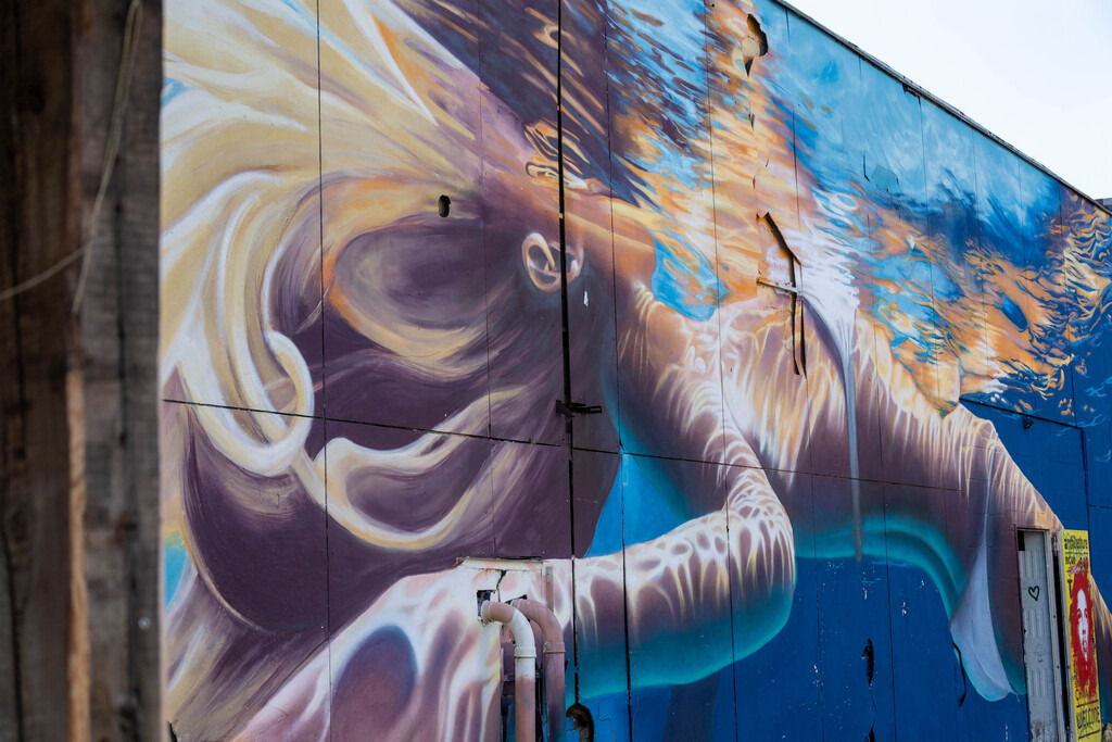 Teufelsberg (19) | hgt-foto