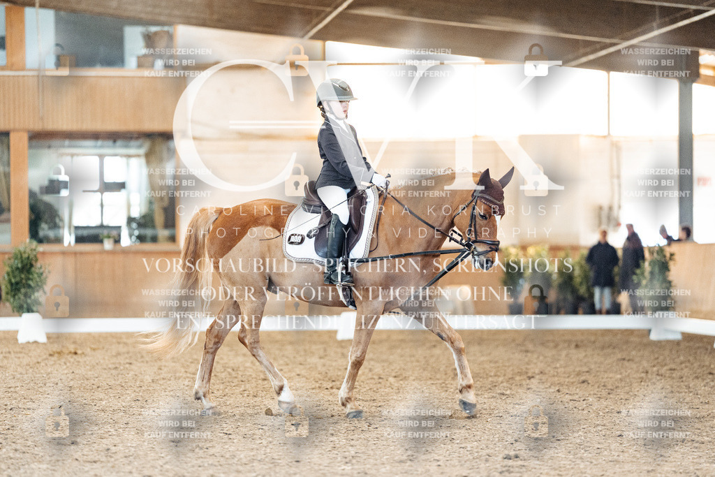 CK907978 | Turnierfotografie Pferdefotografie Trier Rheinland-Pfalz Pferdesport Reitsport Tierfotografie Sportfotografie Pferdevideo Pferdevideografie Equestrianvideography equestrianphotography  - Realized with Pictrs.com