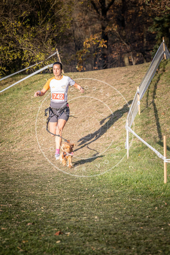 CaniXpix_0L8A9955 | Hundefotografie, Tierfotograf, Pfotenfotografie, Fotoshooting Hund, Hunde Portrait, Hundesport, Hundeportraits, Heideshooting, Hunde, Sportfotograf, Hundefotograf, Turnierhundsport, THS,  - Realisiert mit Pictrs.com