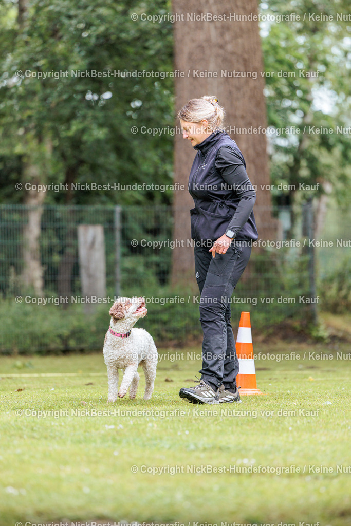 RO-Blumenthal-2026-Nickbest-Hundefotografie-0383 | Dein Hund! Dein Moment! Deine Erinnerungen! Hundefotografie in Bremen Blumenthal. Ich fange die besonderen Momente deines Vierbeiners ein – ob Indoor mit Blitzanlage oder in der freien Natur. Sicher dir dein Moment und dein Termin für eure Erinnerungen.