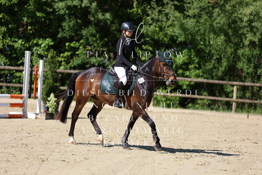 IMGS4503 | pl-fotografie