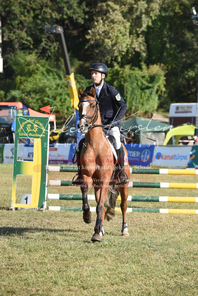 DSC_5235 | Pferde- und Turnierfotografie in Westsachsen. Pferdeportraits, Auftragszeichnungen und intuitive Kunst.