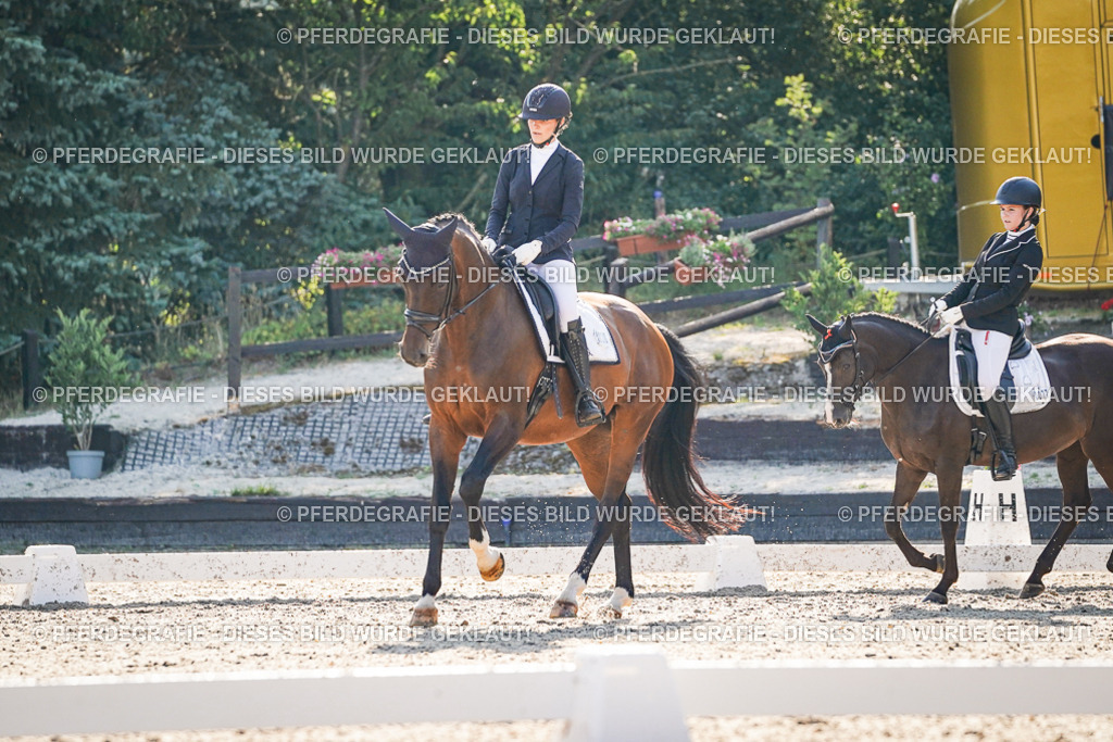 DSC08916 | Pferdegrafie