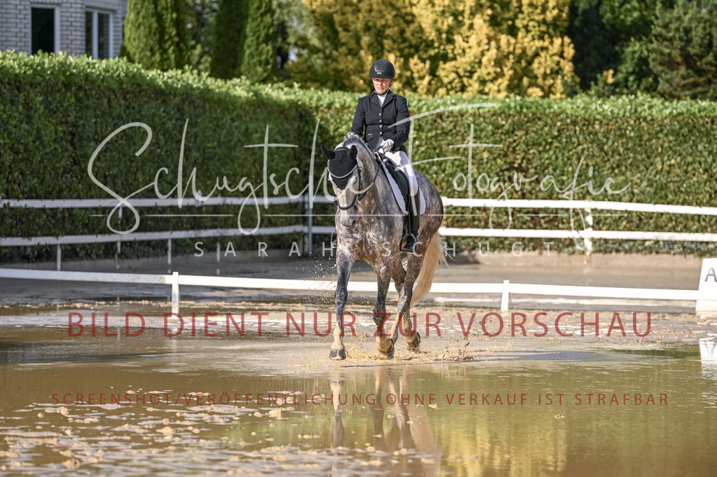 Schugtsche-Aluta25-54.Dressurprf.L1Trense-201 | Schugtsche Fotografie - Realisiert mit Pictrs.com