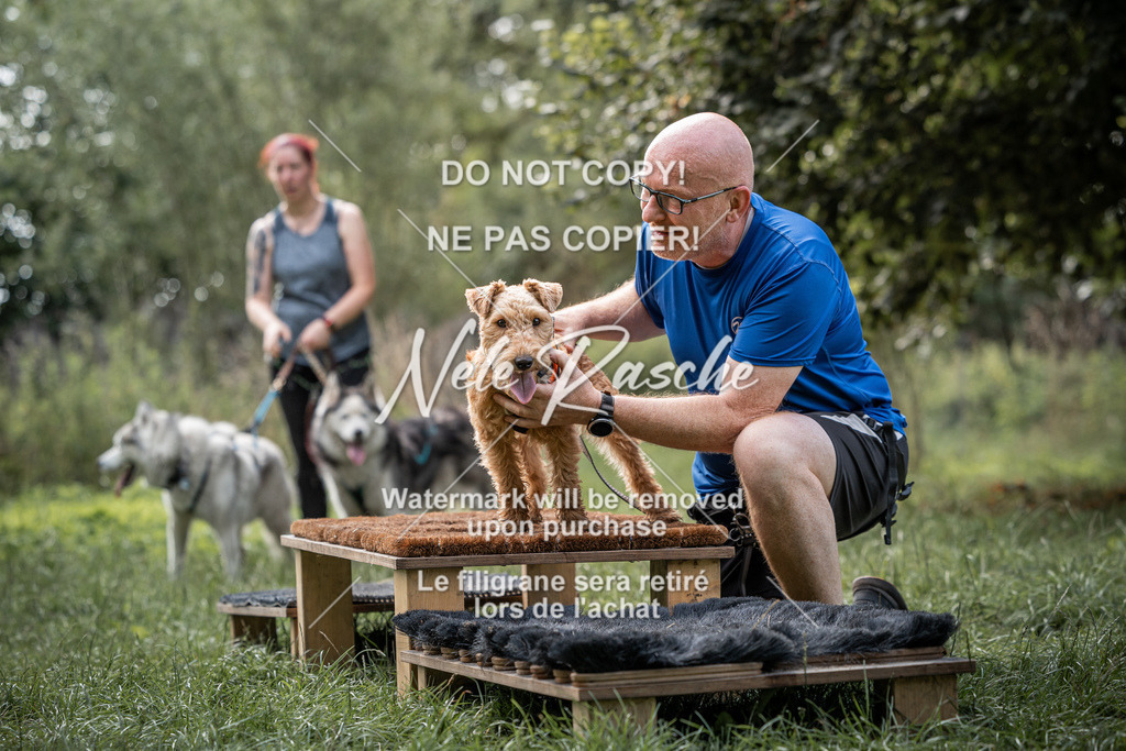 nelerasche_SoLauf_254 | nelerasche