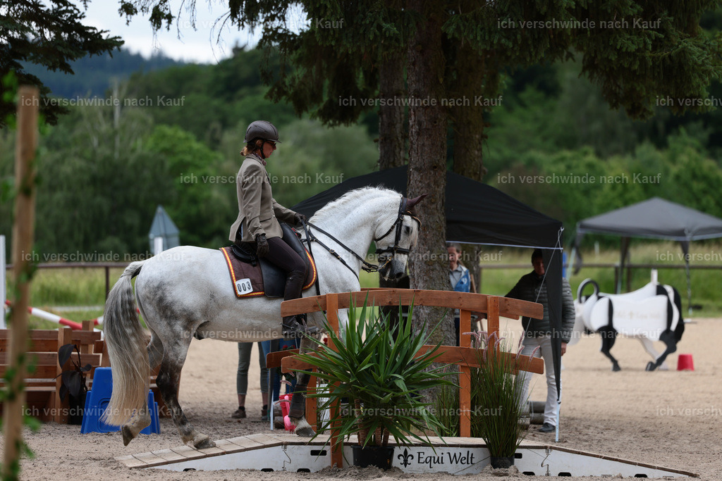 Masterclass_stoibphotography_C2_L6641.JPG | working equitationturnier fotograf videograf stoibphotography marixx film working equitation deutschland reitsport turnierfotografie eventfotografie equestrian events