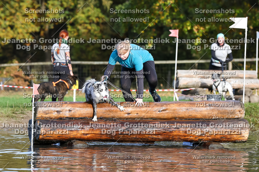 Dog Paparazzi - Strongdog 10-25-8429 | Dog Paparazzi Jeanette Grottendiek Fotografie & Videografie - Realisiert mit Pictrs.com