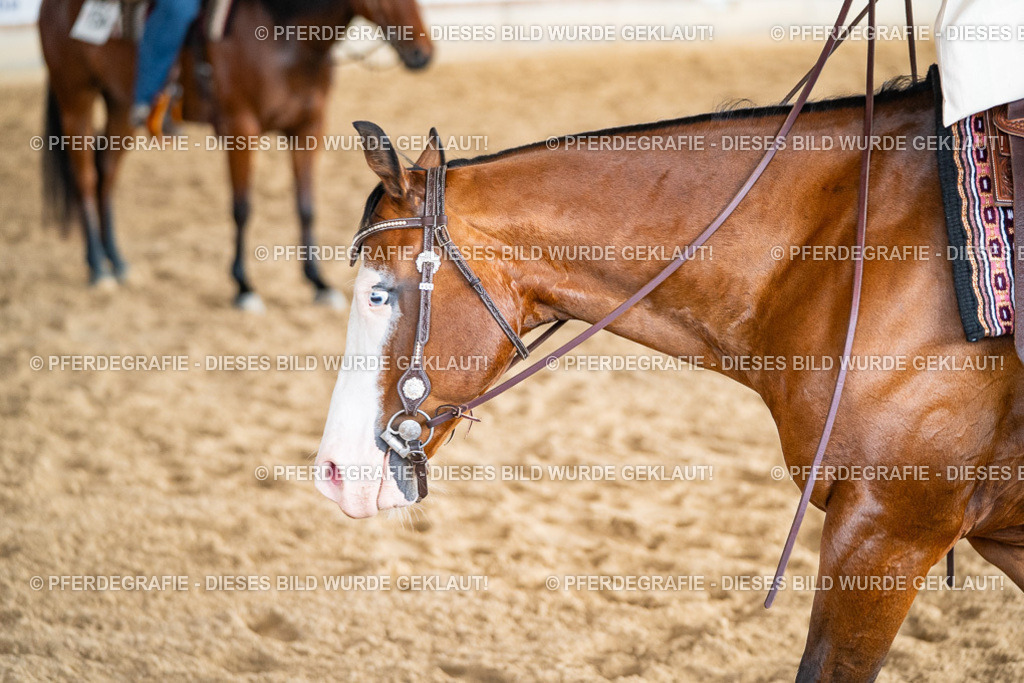 DSC08400 | Pferdegrafie