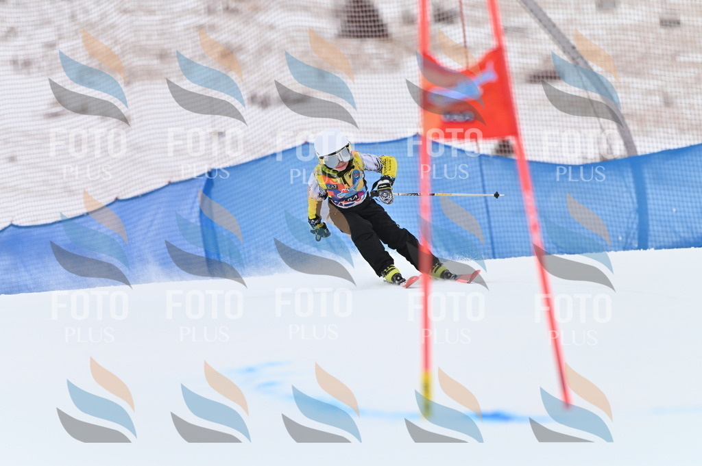 BGV_3024 | holidayphoto