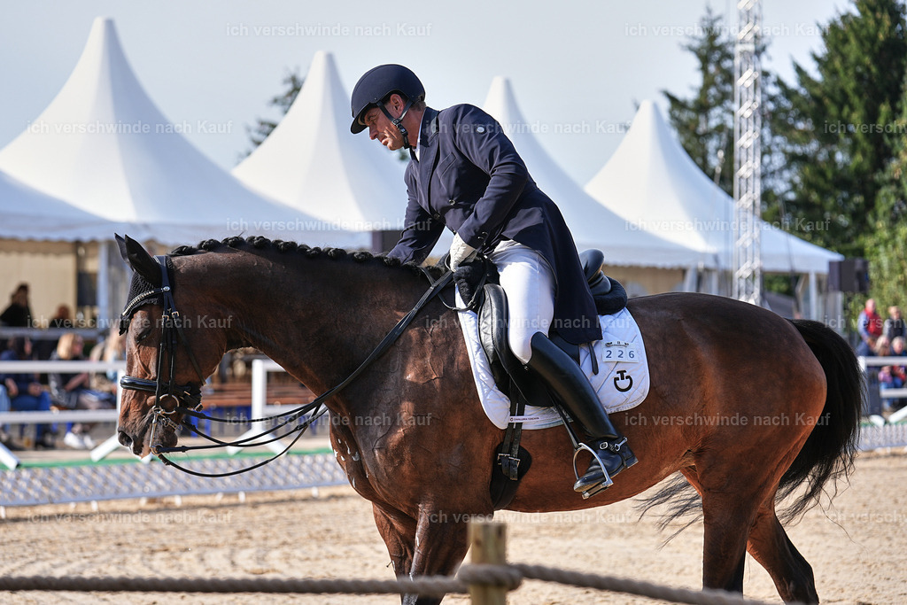 13-226-S___ -Marixx-7037 | working equitationturnier fotograf videograf stoibphotography marixx film working equitation deutschland reitsport turnierfotografie eventfotografie equestrian events