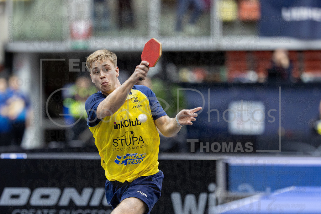 European_Championships_2024-10-17_183 | good-photos - Realizado com Pictrs.com