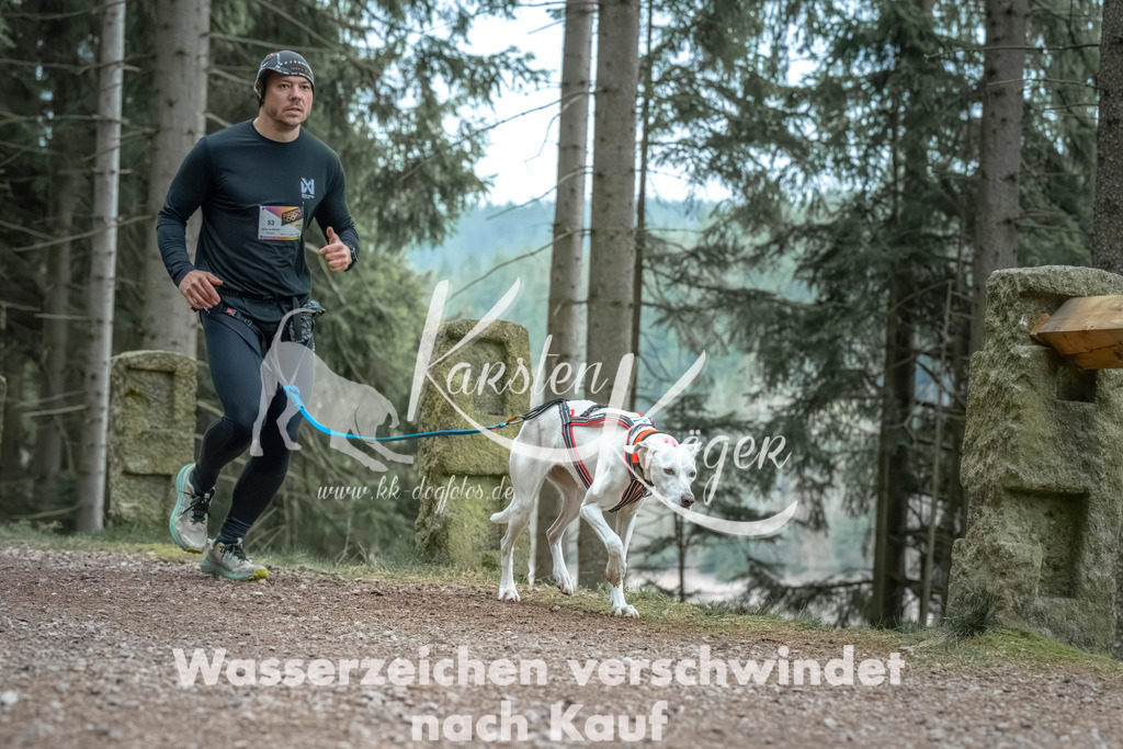 0820_ZZ91115 | kk-dogfotos