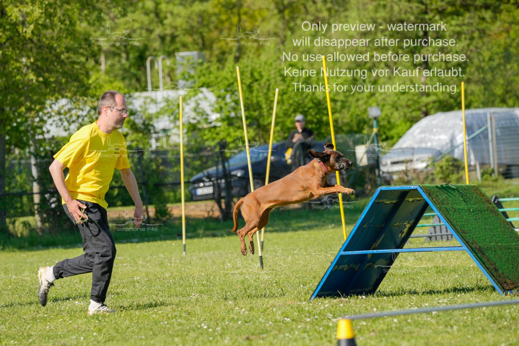 Sa_CSC-291 | stephaniefillaphotographie - Realisiert mit Pictrs.com