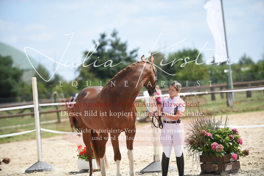DSC_8976 | Pferde- und Turnierfotografie in Westsachsen. Pferdeportraits, Auftragszeichnungen und intuitive Kunst.