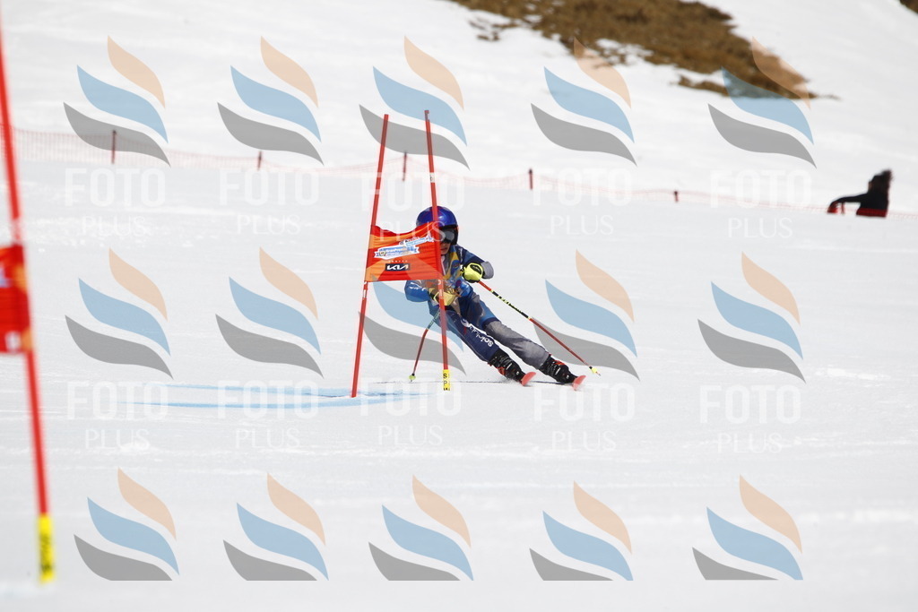 _U3G5488 | holidayphoto