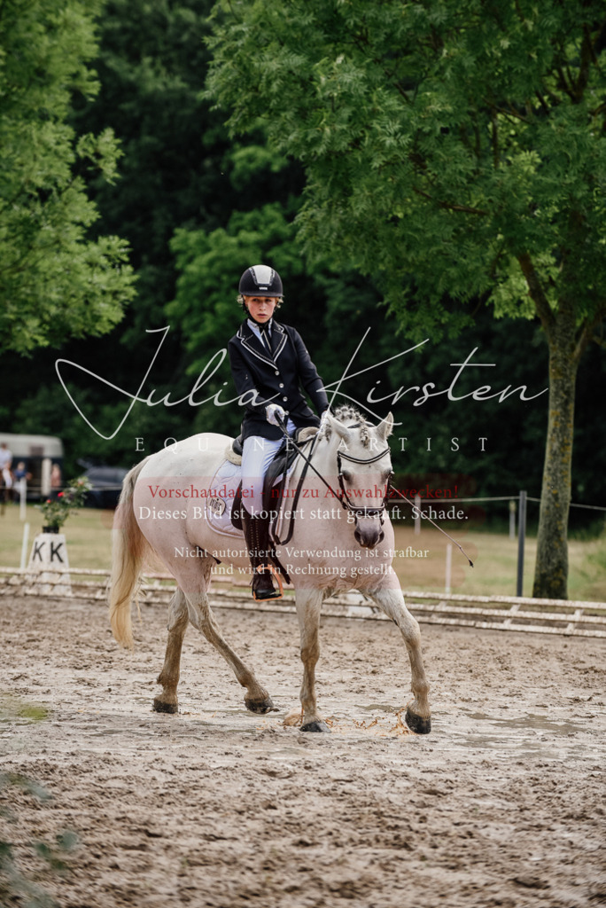DSC_9435 | Pferde- und Turnierfotografie in Westsachsen. Pferdeportraits, Auftragszeichnungen und intuitive Kunst.