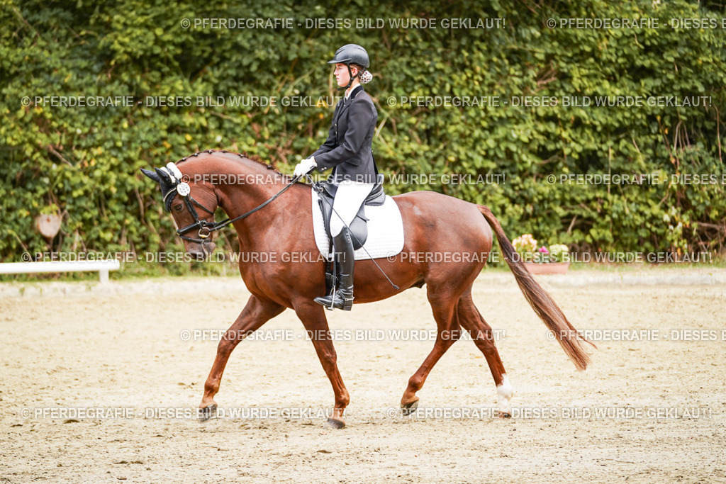 DSC00640 | Pferdegrafie