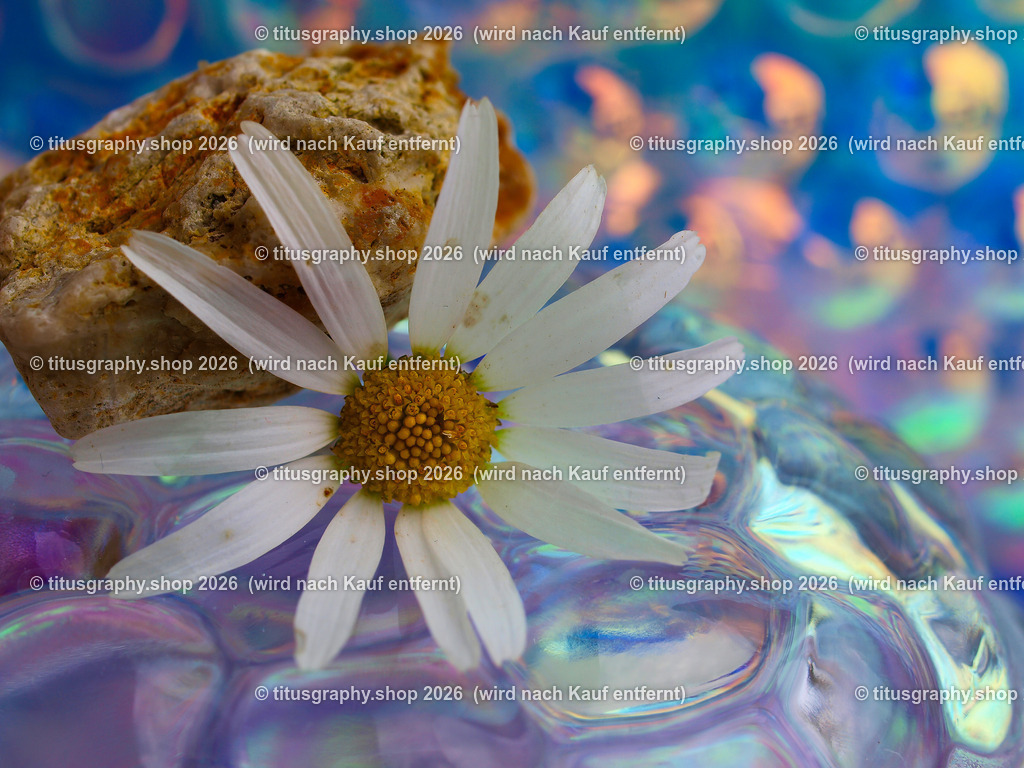 titusgraphy_P9308904-vz-ln | titusgraphy-shop: Geschenkideen mit Qualitätsfotos. titusgraphy-shop: gift ideas with quality photos. titusgraphy-shop: idées cadeaux avec photos de qualité.  - Realisiert mit Pictrs.com