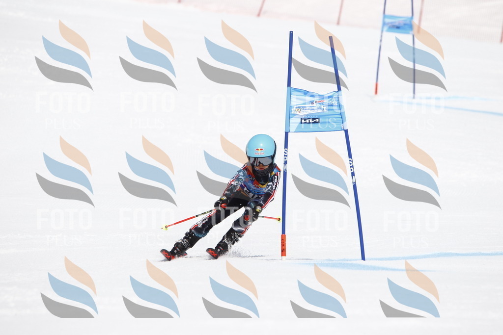 _U3G5614 | holidayphoto