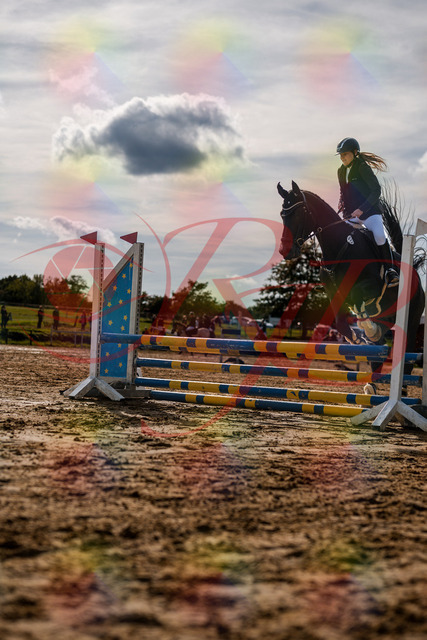 2026_10_03_Siefer-Hof_154315_Z63_09122278 | Professionelle Reitsport-, Turnier- und Eventfotografie von Robert Broda. Galerien mit ausgewählten und bearbeiteten Bildern direkt online ansehen und bestellen.