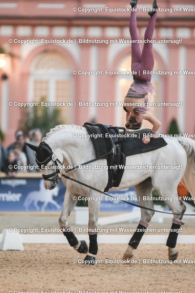 20230527_Voltigieren_NASPA_Flutlicht_0337 | equistock