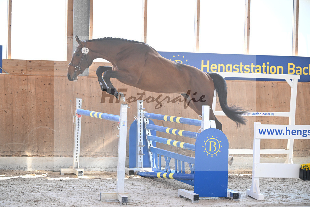 Kat-Nr. 67 Apple Blossom v h Beeckhof v. Bamako de Muze_KES-Kreidl_14261759 | hf-fotografie - Realizzato con Pictrs.com