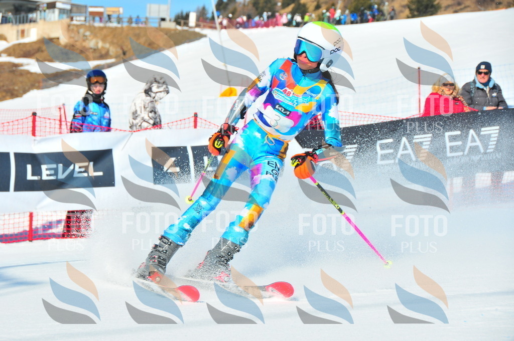 DSC_3676 | holidayphoto