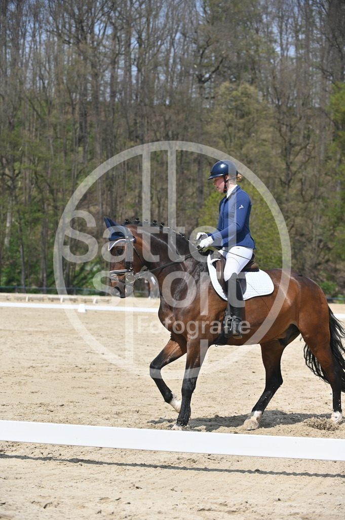 DSC_2057 | sattelsport - Realisiert mit Pictrs.com