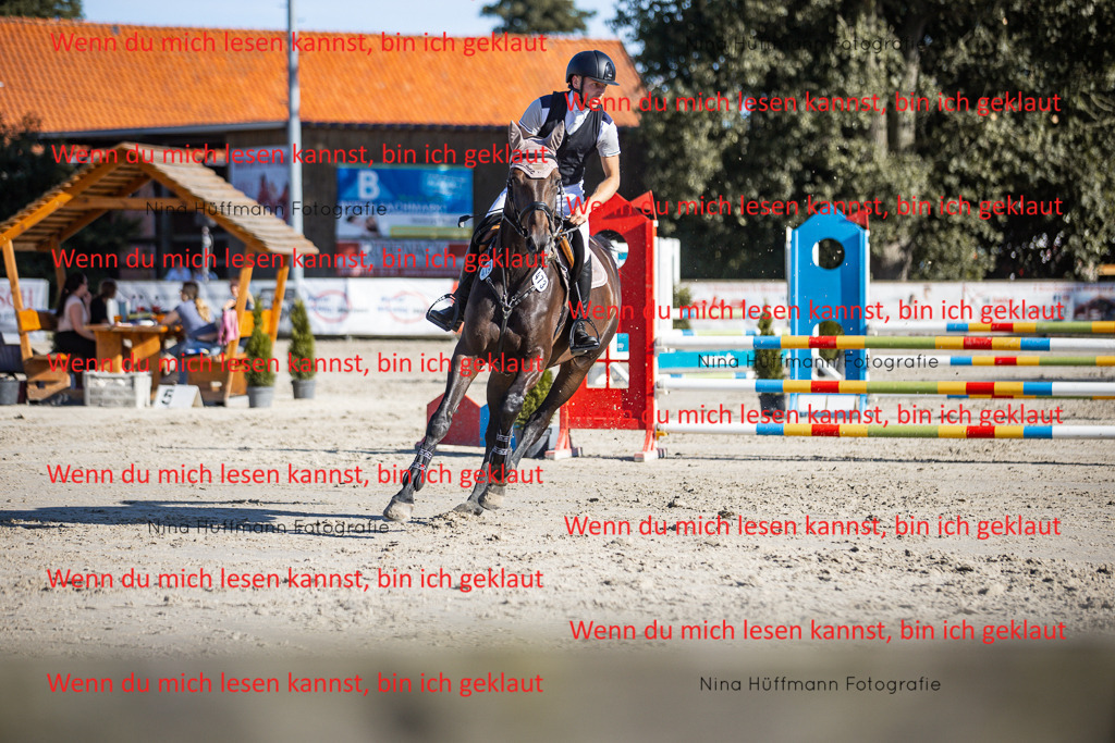 BK1A7481 | Turnierbilder Turnierfotos Nina Hüffmann Turnierfotografie Pferdefotografie Tierzeichnung Haustierzeichnung Pferdezeichnung Hundezeichnung Videograf  - Realisiert mit Pictrs.com