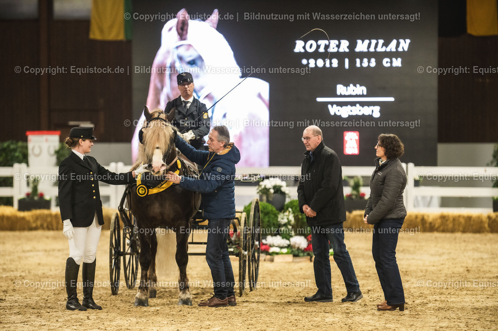 20240302_Hengstvorstellung_Marbach_TOMsPiC_0657 | equistock