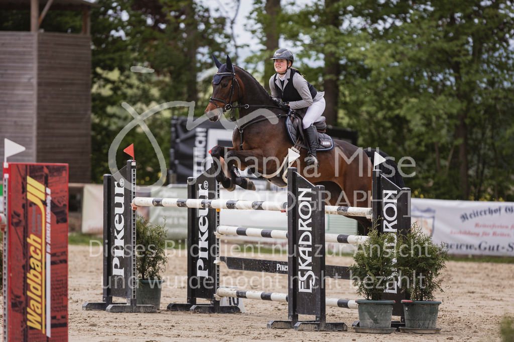 250504_SpengeW_M2-Spr-481 | Deine schönsten Turniermomente als professionelle Fotos! Entdecke hochwertige Pferdesport-Fotografie im Online-Shop. Jetzt Fotos finden & bestellen!