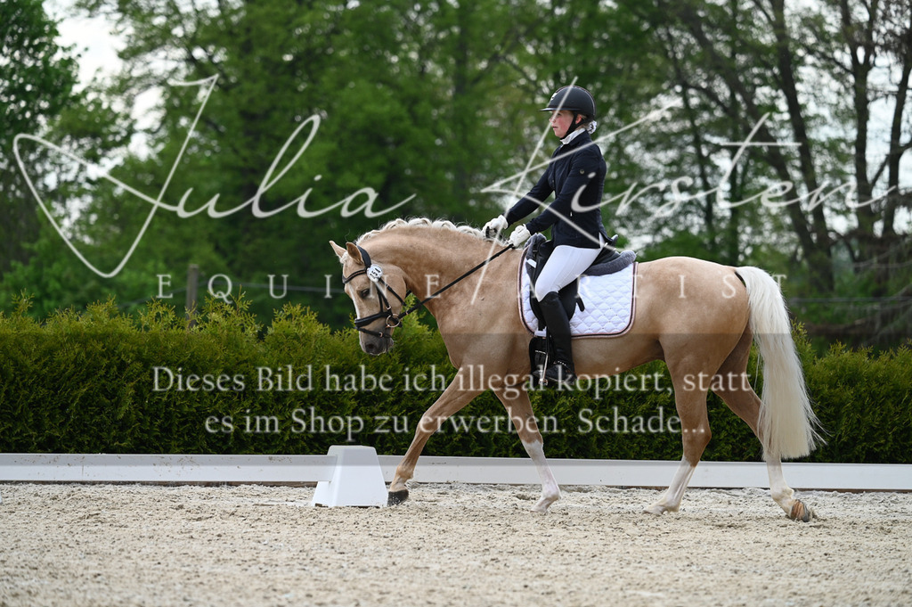 20230512_JK-Röhrsdorf-02-100 | Pferde- und Turnierfotografie in Westsachsen. Pferdeportraits, Auftragszeichnungen und intuitive Kunst.